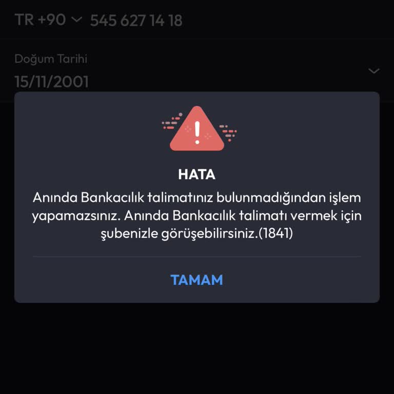 Mobil Uygulama Hatası: Anında Bankacılık Sorunu