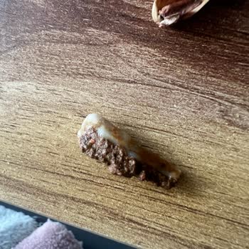 Tehlikeli Kuruyemiş Deneyimi