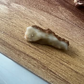 Tehlikeli Kuruyemiş Deneyimi