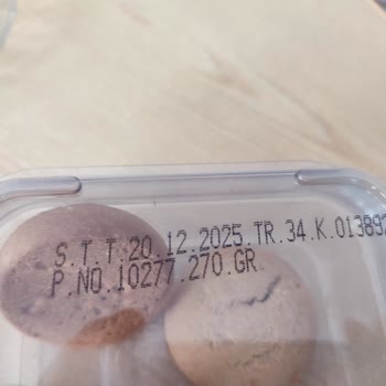 Harika Tatlar Diyarı Kurabiyede Kıl Çıktı