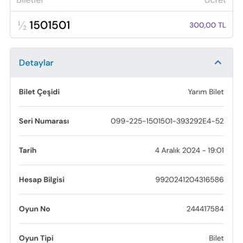 Online Satış Sisteminde Uyarı Eksikliği: Çift Bilet Alım Sorunu