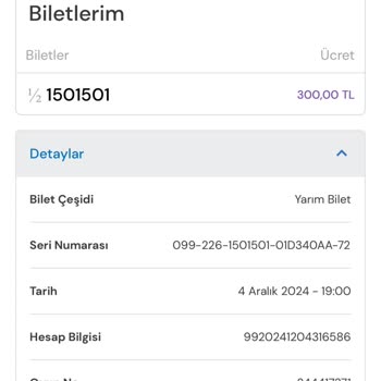 Online Satış Sisteminde Uyarı Eksikliği: Çift Bilet Alım Sorunu