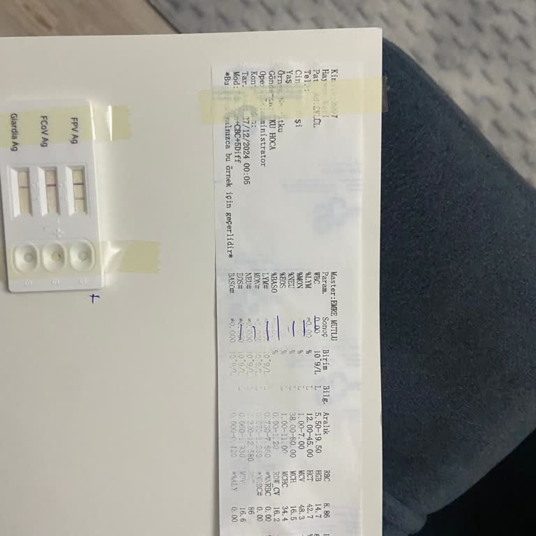 Hayvan Hastanesinde Şeffaflık Ve Güven Sorunu