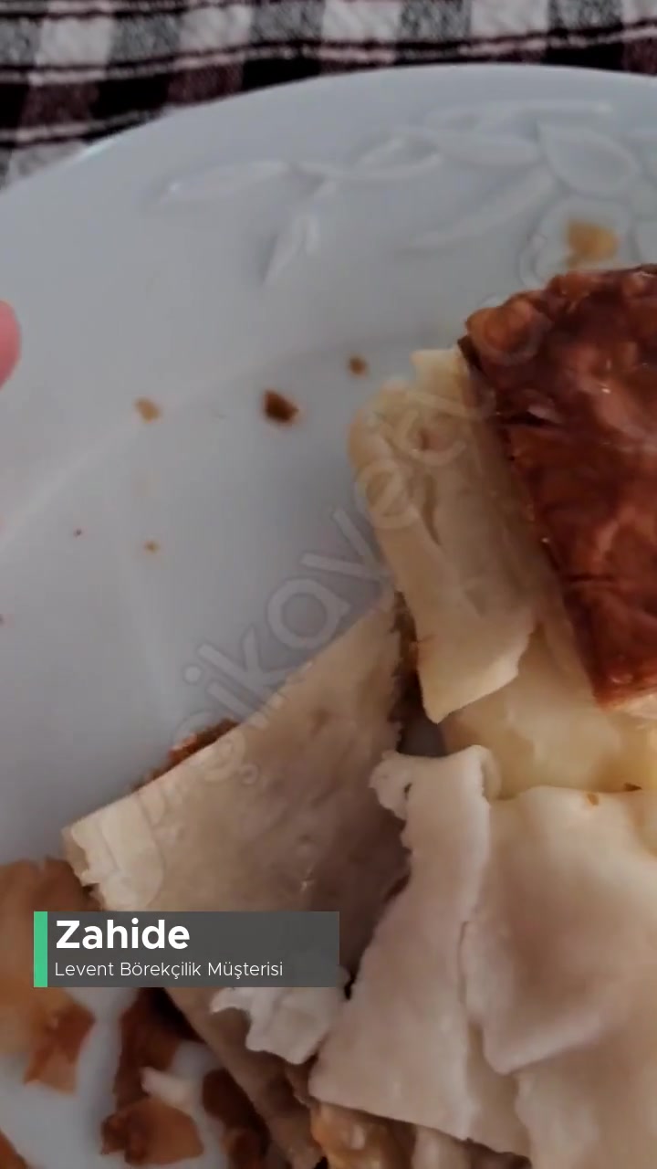 Levent Börekçilik Kıl Çıktı Börekten! videonun kapak resmi