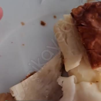 Levent Börekçilik Kıl Çıktı Börekten!