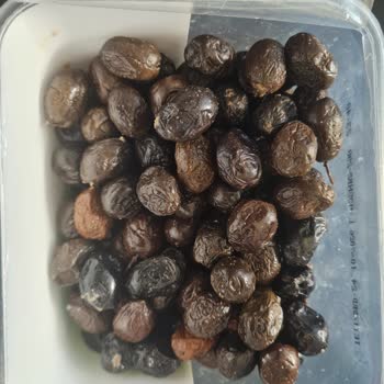 Küflü Zeytin Ve İlgisiz Mağaza Tutumu