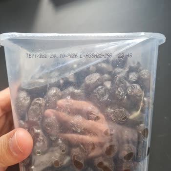 Küflü Zeytin Ve İlgisiz Mağaza Tutumu