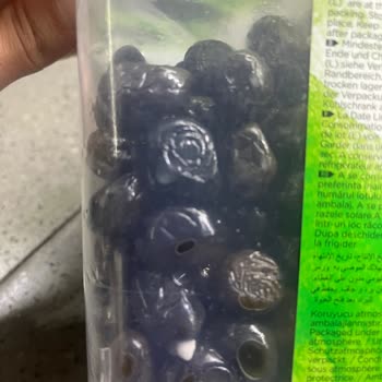 Tukaş Zeytinlerinde Küflenme Ve Kalite Düşüşü