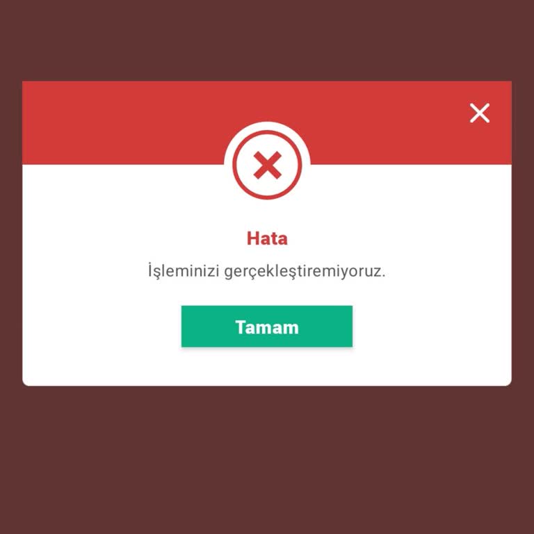 Obilet Uygulaması Üzerinden Alınan Otobüs Biletine Ulaşamama Sorunu