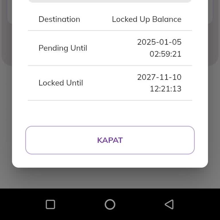 Pi Network Kilitleme Süresi Hatası Ve Düzeltme Talebi