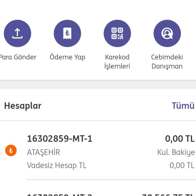 Para Transferi Engeli Ve Müşteri Hizmetleri Sorunu