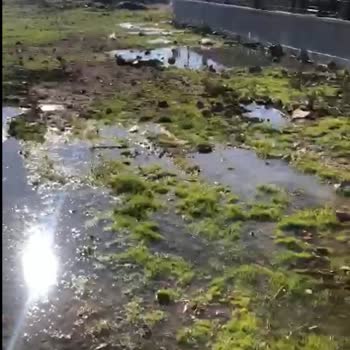 İzmir Dikili Belediyesi Foseptik Çukuru Taşması Nedeniyle Sağlık Ve Yaşam Kalitesi Tehlikede