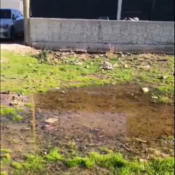 İzmir Dikili Belediyesi Foseptik Çukuru Taşması Nedeniyle Sağlık Ve Yaşam Kalitesi Tehlikede