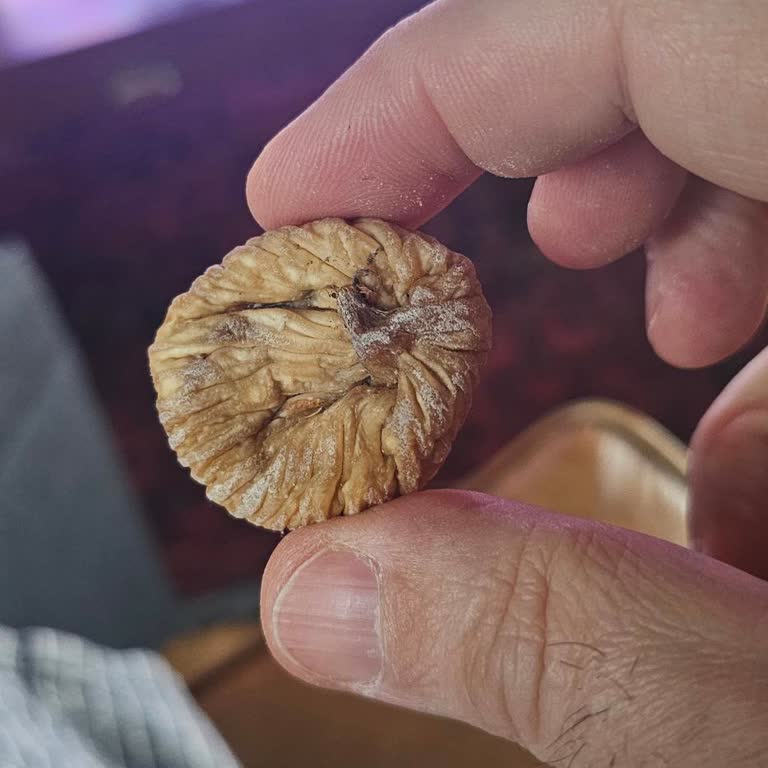 Yanlış İncir Boyutu: Beklentilerin Altında Bir Deneyim