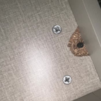 Doğtaş'tan Aldığım Genç Odası Takımında Teslimat Ve Güvenlik Sorunları