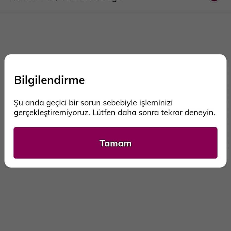 Şifre Sorunu Nedeniyle Ulaşılamayan Müşteri Hizmeti