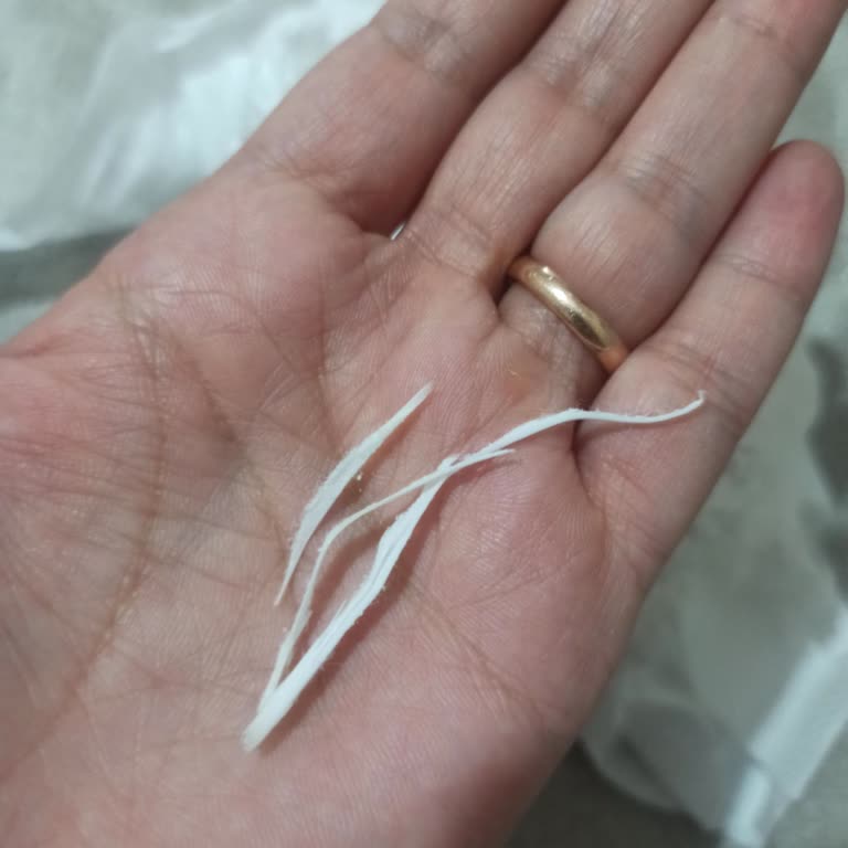 Sleepy Bebek Bezinde Tehlikeli Yabancı Cisim