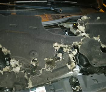 Peugeot 2008 Kaput İzolatörü Sorunu