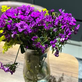 Eksik Ve Defolu Çiçek Teslimatı