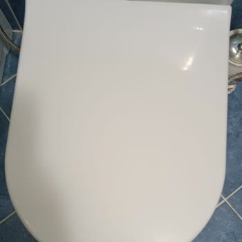 Klozet Kapağı Menteşesi Bulma Sorunu