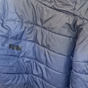 Puma Montumun Renk Değişimi Sorunu