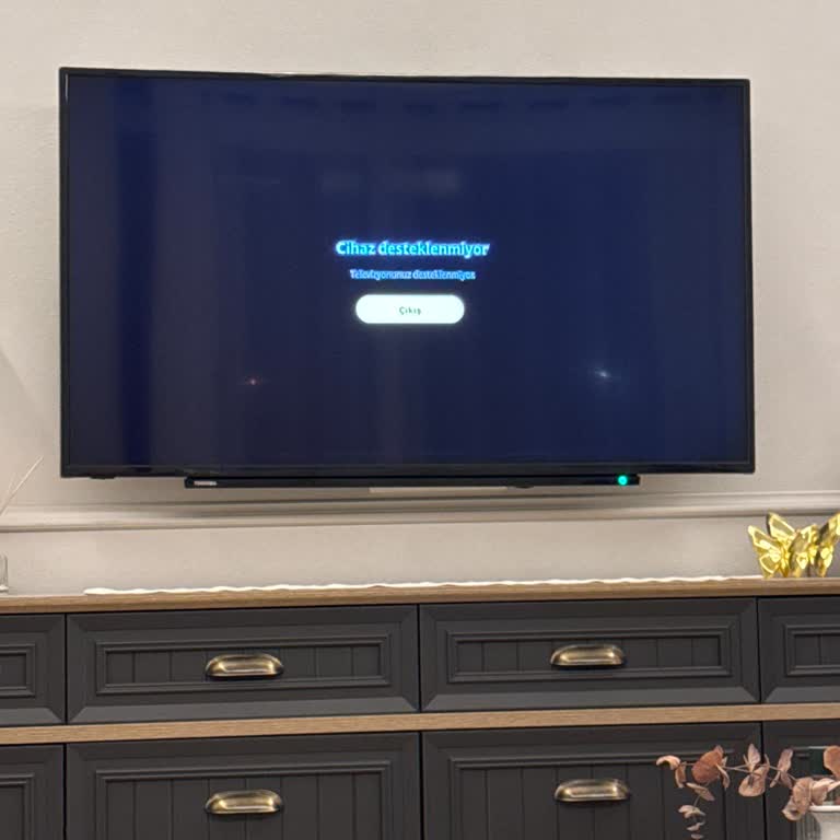 Exxen Uygulaması Toshiba TV'de Çalışmıyor