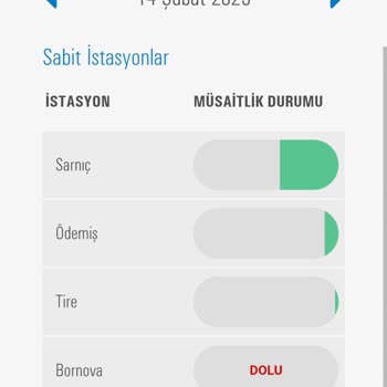 Ticari Araç Randevu Sorunu: İzmir'de Mağduriyet