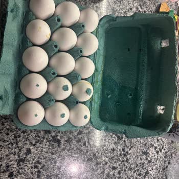 Migros Hemen Siparişinde Tekrarlayan Sorun: Kırık Yumurta Ve İletişim Eksikliği