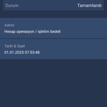 Bitexen Hesabımda Varlıklarım Sıfırlandı