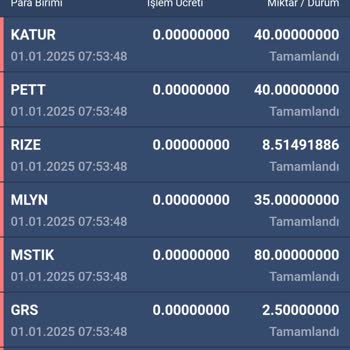 Bitexen Hesabımda Varlıklarım Sıfırlandı