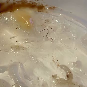 Kazandibinde İstenmeyen Sürpriz: Kıl Çıkması