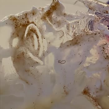 Kazandibinde İstenmeyen Sürpriz: Kıl Çıkması