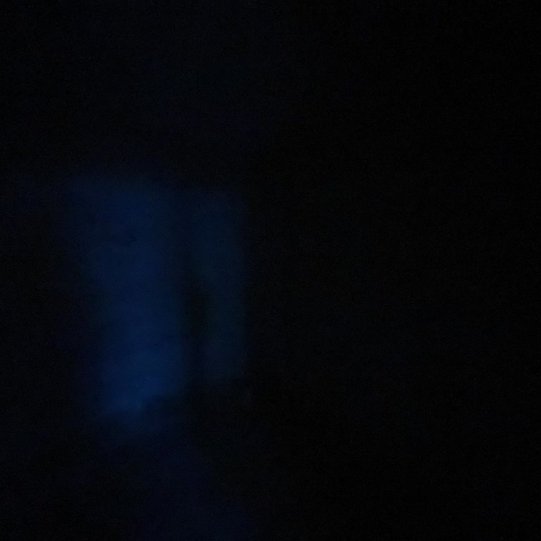 Metamask'ta Token Transfer Sorunu Ve Yetersiz Destek