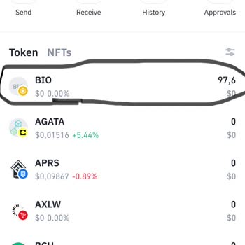 Binance Bio Coin İşlemlerinde Görüntüleme Sorunu
