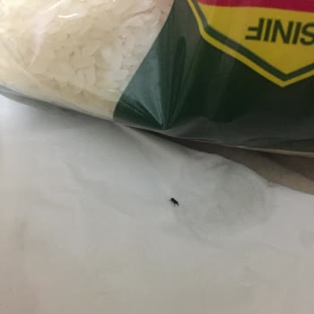 BİM'den Aldığım Pirinçte Yabancı Bir Cisim Çıktı!