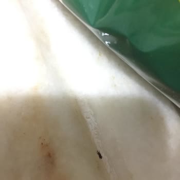 BİM'den Aldığım Pirinçte Yabancı Bir Cisim Çıktı!