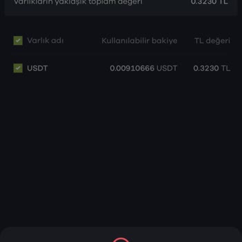 Paribu Hesabımda İşlem Yapamıyorum