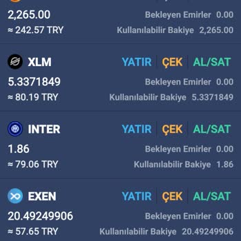 Bitexen'de Gizemli Coin Kaybı