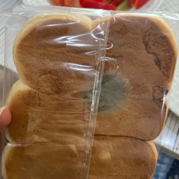 Küflü Ekmek Ve Böcekli Mandalina: Getir Market'te Çözüm Eksikliği