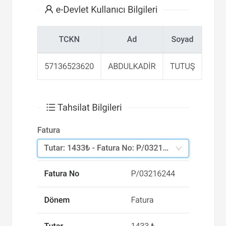 Elektrik Faturası Ödeme Sorunu
