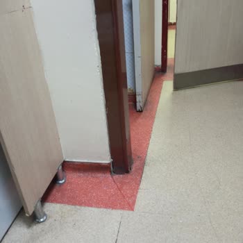 Hastane Hijyen Ve Refakatçi Sorunu