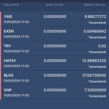 Bitexen Hesabımda Gizemli Bakiye Kaybı