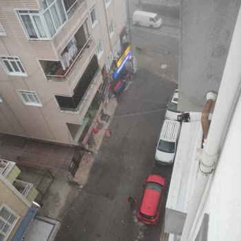 Kapaklı'da Köpek Sorunu: Güvenliğimiz Tehlikede