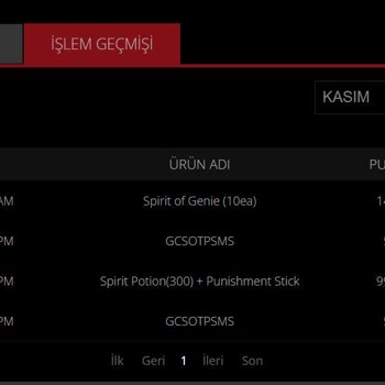 Knight Online'da Haksız Ceza Ve Hesap Kapatma Şoku