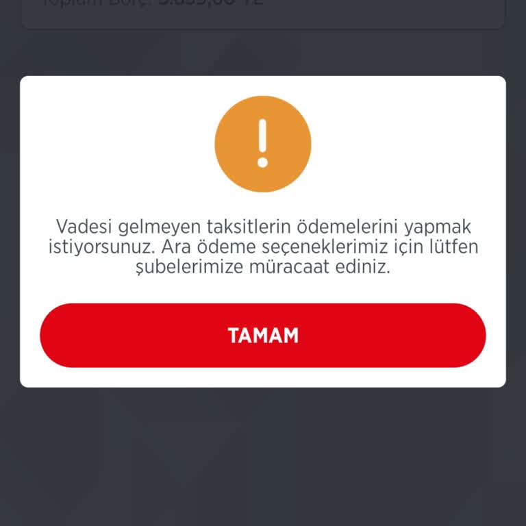 Online Kredi Ödeme Sorunu