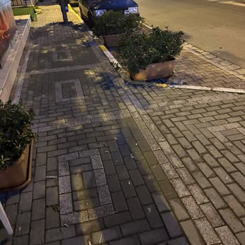 Avcılar Belediyesi Cihangir'de Yasal Olmayan Park Yeri İşgali