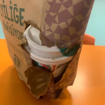 Starbucks Coffee Lids Deforming and Causing Spills – Seeking Durable Solutions