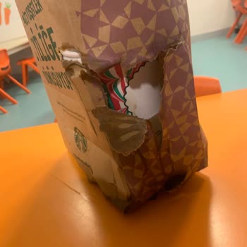 Starbucks Coffee Lids Deforming and Causing Spills – Seeking Durable Solutions