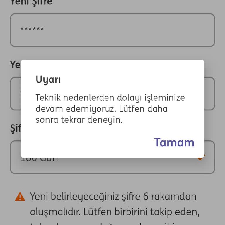 İnternet Bankacılığı Şifre Sorunu Ve Müşteri Hizmetleri Erişimsizliği