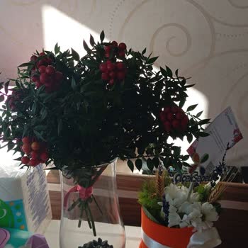 Çiçek Siparişim Hayal Kırıklığına Uğrattı!